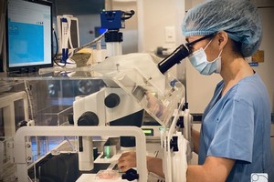 HCMC-based My Duc Hospital will offer free in vitro fertilization (IVF) treatment for 80 infertile couples.