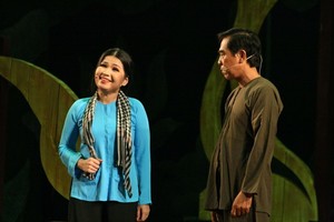 A performance by the Long An Cai Luong Art Troupe