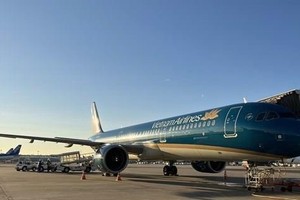 Free flight brings Vietnamese citizens home from Japan for Tet holiday