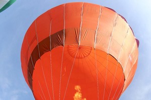 Hot air balloon festival in HCMC (Photo: SGGP)