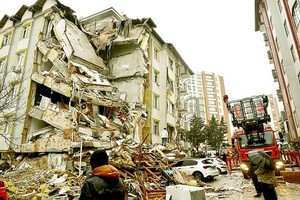 No Vietnamese citizens affected by earthquake in Turkey, Syria so far