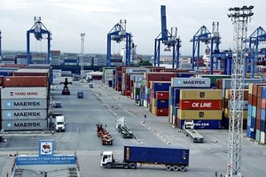 Vietnam exported goods worth US$8.21 billion to the Americas in January and spent US$1.64 billion on imports from this market. (Photo: VNA)