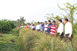 The delegation led by Minister of Agricultural and Rural Development Le Minh Hoan visits a garden of seedless lemon trees in Long An Province on March 6. (Photo: SGGP)