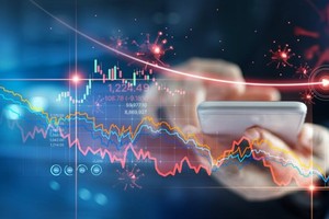 Workshop discusses fairness, transparency of Vietnam's stock market