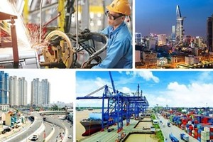 Vietnam needs radical solutions to revive growth