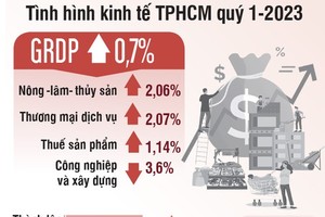 HCMC's economic growth in Q1 of 2023 