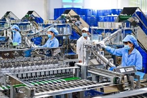 Enterprises in Vietnam have invested about US$9 billion in green growth. (Illustrative photo: baodautu.vn)