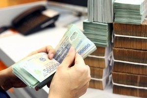 Illustrative image (Photo: VNA)