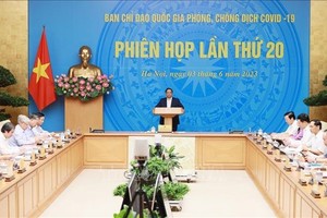 Prime Minister Pham Minh Chinh speaks at the meeting. (Photo: VNA)