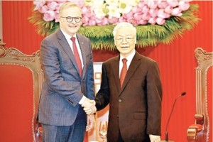 Party General Secretary Nguyen Phu Trong (right) meets leader of the Australian Labour Party and PM of Australia Anthony Albanese in Hanoi on June 4. (Photo: VNA)