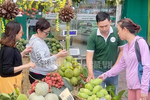 The Southern fruit festival in HCMC's District 8 attracts many visitors. (Photo: hcmcpv)