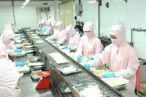 Illustrative image (Photo: SGGP)