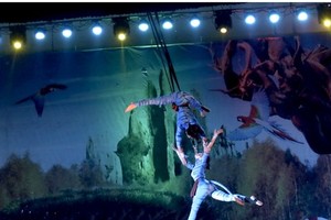 A performance of the circus gala