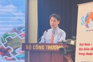 Director of the European-American Market Department Ta Hoang Linh speaks at the event (Photo: VNA)