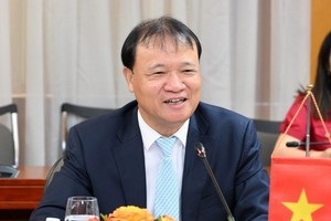 Deputy Minister of Industry and Trade Do Thang Hai. (Photo: VNA)