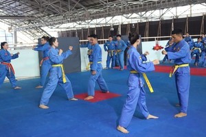 HCMC's Vovinam team (Photo: SGGP)