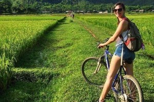 (Illustrative photo: SGGP)