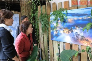 A painting exhibition on Ly Tu Trong Street in Da Lat City