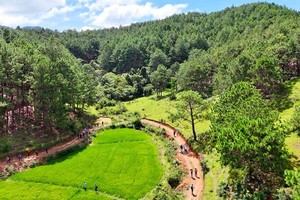 On the difficult but beautiful trekking route Ta Nang-Phan Dung through green rice fields and small forests