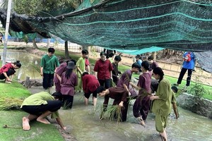 HCMC, Ben Tre promote tourism development cooperation