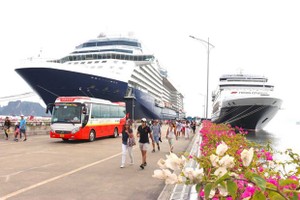 Sixty international cruise ships with a total of some 80,000 passengers aboard have registered to dock at Ha Long International Port in 2024. (Photo: VNA)