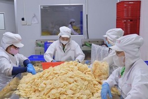 At Dai Viet Lotus Food JSC's factory (Photo: VNA)