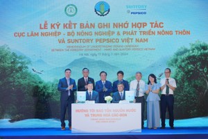 Department of Forestry under the Ministry of Agriculture and Rural Development signs a Memorandum of Understanding (MoU) with Suntory PepsiCo Vietnam Beverage (Suntory PepsiCo) on cooperation to promote the cultivation of large timber forests and the planting of native medicinal plants combined with herbal remedies. (Photo: SGGP)