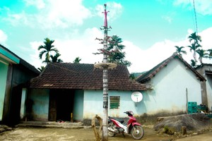 A Neu tree in a village in Tra Bong District, Quang Ngai Province