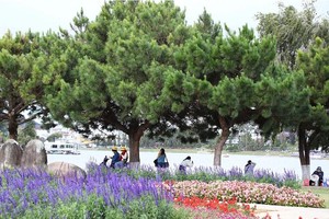 Da Lat City leads the list of the top-searched domestic destinations. (Photo: SGGP)