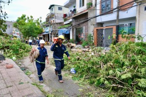 Workers of the HCMC Green Park One Member Limited Liability Company remove fallen trees on a street in Hai Phong City. (Photo: SGGP)