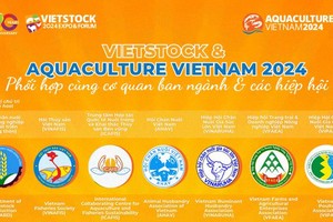 Vietstock 2024 provides an ideal venue for businesses to update the latest trends in the livestock industry. (Photo: VNA)