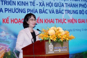 Vice Chairwoman of the People's Committee of Ho Chi Minh City, Tran Thi Dieu Thuy speaks at the conference. (Photo: SGGP)