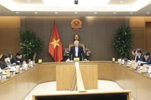 Deputy Prime Minister Nguyen Hoa Binh chairs the working session on December 17. (Photo: TTXVN)