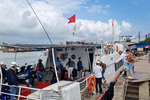 The Sa Ky - Ly Son boat service has been temporarily suspended due to the cold weather and rough seas on January 27. (Photo: SGGP)