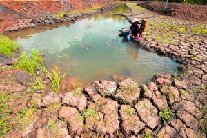 Saltwater intrusion is forecast to enter deeper in Mekong Delta. (Photo: SGGP)
