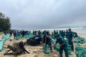 Hundreds rally to construct sandbag barrier to protect My Khe Beach.