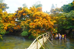 The Jungle Flame festival will take place in Vinh Thanh District on March 22-23.