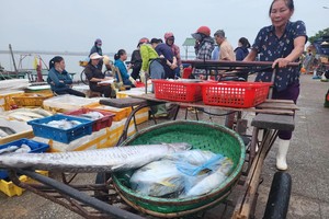 Despite being on holiday, the hustling and bustling shopping atmosphere has been recorded at the seafood market in Cua Sot Fishing Port, Thach Kim Commune, Loc Ha District, in Ha Tinh province.