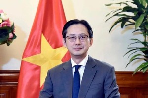 Deputy Minister of Foreign Affairs Do Hung Viet (Photo: VNA)