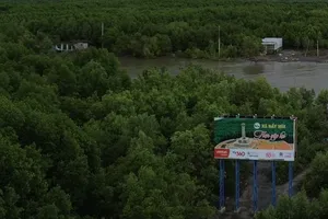 A section of the Ca Mau–Dat Mui expressway is planned to run through a protective forest zone.