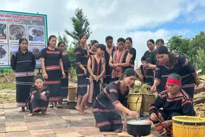 Ngoc Linh Ginseng Fair links cultural preservation with medicinal development