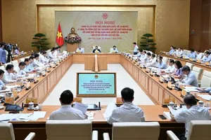 At the conference (Photo: VNA)