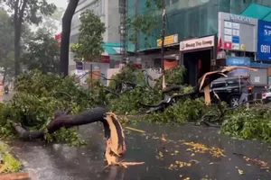 HCMC steps up response to infrastructure incidents during rainy and stormy season. (Photo: SGGP)