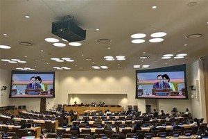 United Nations General Assembly (UNGA) has officially adopted a resolution on preparations for the High-Level Meeting on Pandemic Prevention, Preparedness and Response (Photo: VNA)