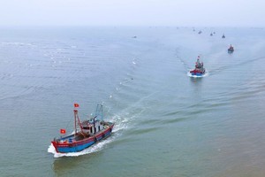 The offshore fishing fleet of the Ngoc Bich commune Fisheries Cooperative (Nghe An province) on its way to the river mouth. (Photo: VNA)