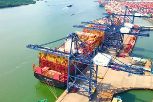 Container ships calling at the port in HCMC (Photo: SGGP)