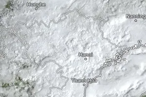 Satellite imagery at 7:30 a.m. on November 1 shows cold air pushing clouds to cover nearly the entire northern and north-central regions of Vietnam.