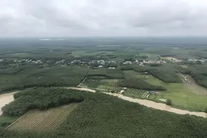 Ho Chi Minh City develops eco-friendly urban agriculture in the digital era. (Photo: SGGP)