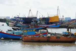 Ho Chi Minh City implements coordinated measures to combat IUU fishing in line with Central and City Party directives. (Photo: SGGP)