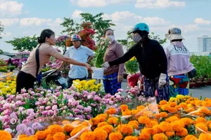 Binh Dong Tet Flower Market along Ta Quang Buu Street from February 2 to February 16. (Photo: SGGP)